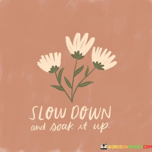 Slow-Down-And-Soak-It-Up-Quotes.jpeg