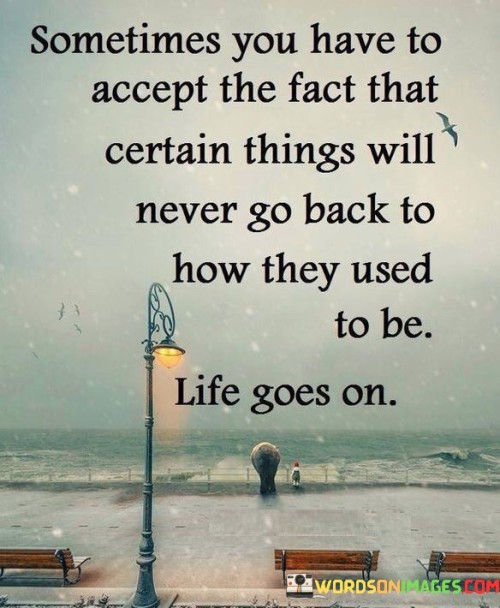 Sometimes-You-Have-To-Accept-The-Fact-That-Certain-Will-Never-Go-Back-To-How-They-Used-To-Be-Quotes.jpeg