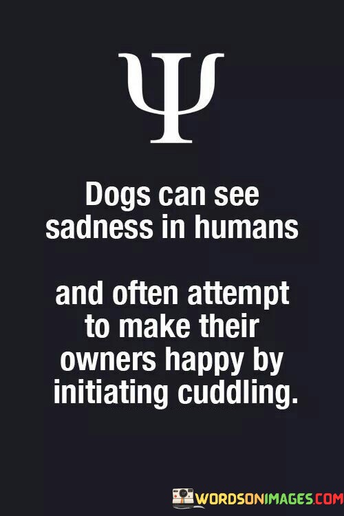 Dogs-Can-See-Sadness-In-Humans-And-Often-Attempt-To-Make-Quotes.jpeg