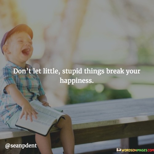 Don't Let Little Stupid Things Break Your Happiness Quotes