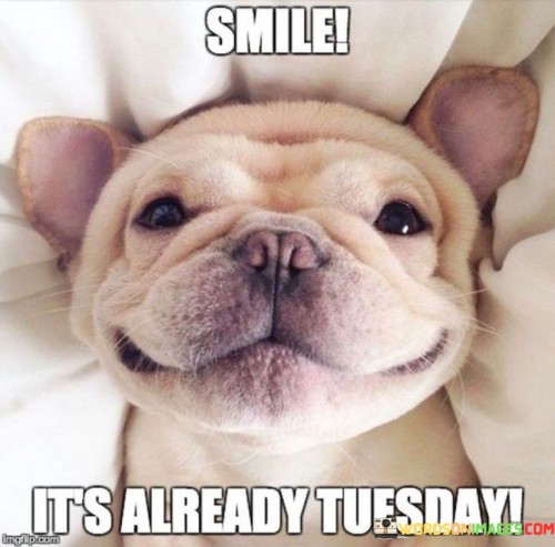 Smile-Its-Already-Tuesday-Quotes.jpeg