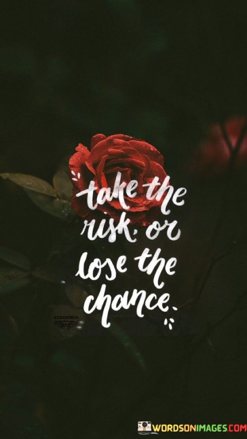 Take-The-Risk-On-Lose-The-Chance-Quotes.jpeg