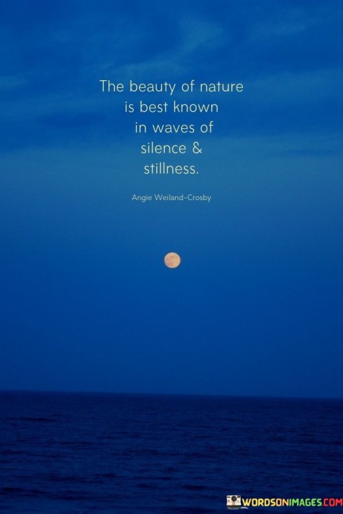 The-Beauty-Of-Nature-Is-Best-Known-In-Waves-Of-Silence-Quotes.jpeg