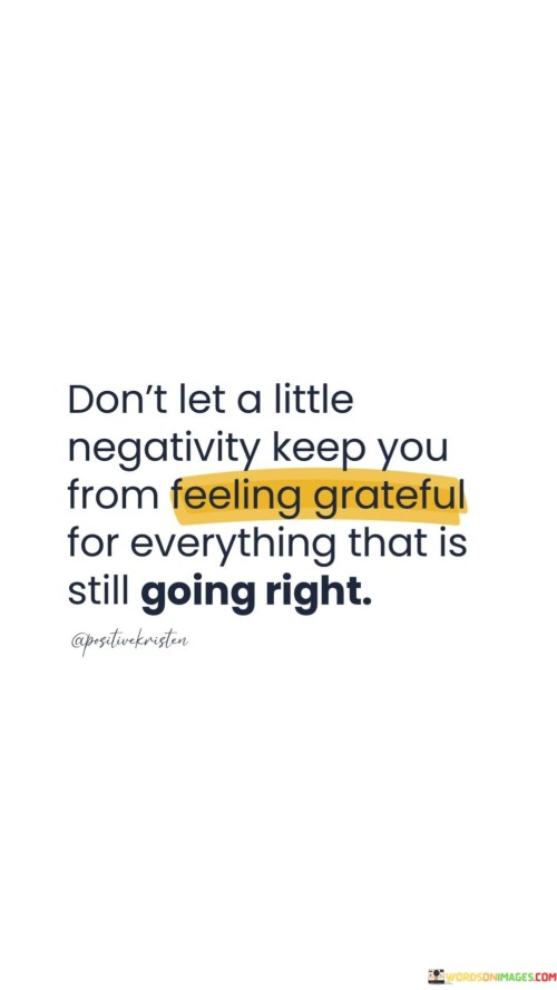 Dont-Let-A-Little-Negativity-Keep-You-From-Feeling-Grateful-For-Everything-That-Quotes.jpeg