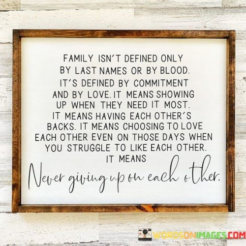 Family-Isnt-Defined-Only-By-Last-Names-Or-By-Quotes.jpeg