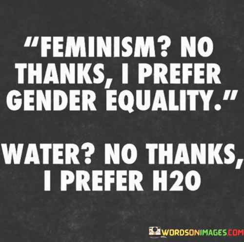 Feminism No Thanks I Prefer Gender Equality Quotes