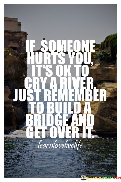 If-Someone-Hurts-You-Its-Ok-To-Cry-Ok-To-Cry-A-River-Quotes.jpeg