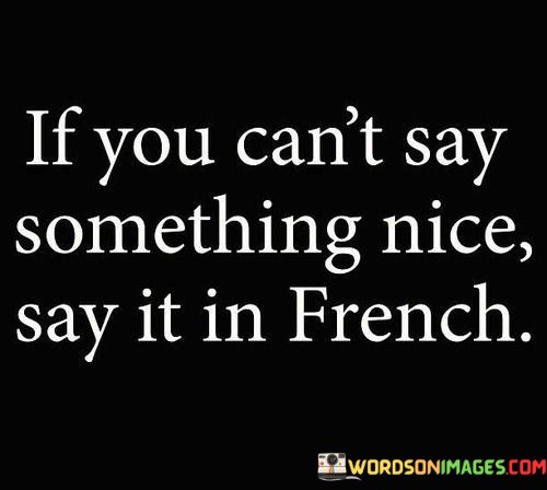 If-You-Cant-Say-Something-Nice-Say-It-In-French-Quotes.jpeg