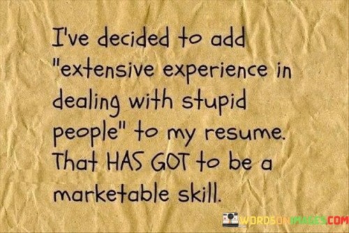 Ive-Decided-To-Add-Extensive-Experience-In-Dealing-With-Stupid-Quotes.jpeg