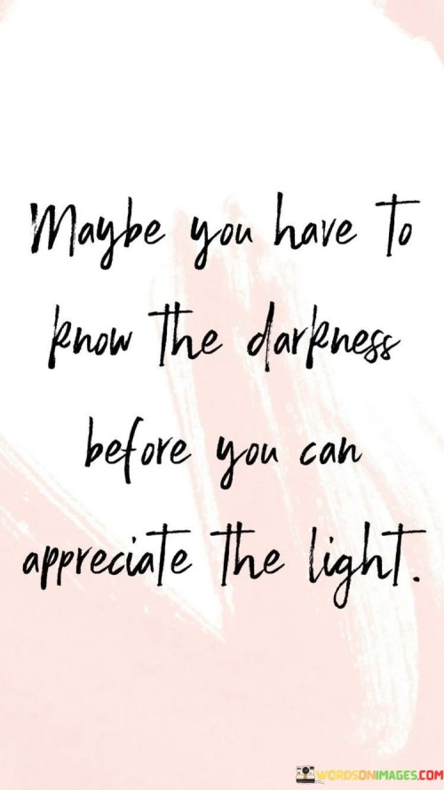 Maybe You Have To Know The Darkness Before You Can Appreciate Quotes
