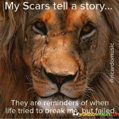 My-Scars-Tell-A-Story-They-Are-Reminders-Of-When-Life-Tried-Quotes.jpeg