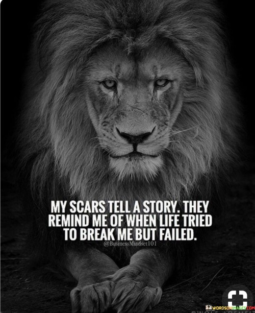 My-Scars-Tell-A-Story-They-Remind-Me-Of-When-Life-Tried-Quotes.jpeg