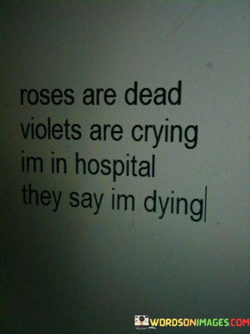 This quote paints a vivid picture of despair and suffering. The metaphor of "roses are dead" suggests a loss of beauty and vitality, while "violets are crying" adds a poignant touch, symbolizing sadness. The phrase "I am in hospital they say I'm dying" starkly conveys a grim situation, indicating the narrator's impending mortality.

The first part, "roses are dead," symbolizes the withering of life's beauty. "Violets are crying" vividly personifies nature's sorrow. The last line, "I am in hospital they say I'm dying," combines physical and emotional pain, highlighting a profound struggle with a potentially terminal illness. Together, these elements evoke a poignant and powerful image of suffering.

This quote masterfully intertwines nature's decay and human vulnerability. It showcases the fragility of life and the emotional turmoil that accompanies serious illness. The juxtaposition of the natural world and personal crisis emphasizes the universal themes of mortality and human suffering, creating a poignant and thought-provoking message.