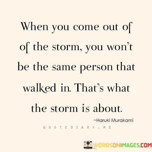 When-You-Come-Out-Of-Of-The-Storm-You-Wont-Be-The-Same-Person-That-Quotes.jpeg