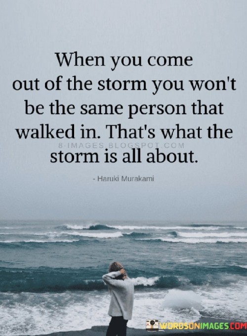 When-You-Come-Out-Of-The-Storm-You-Wont-Be-The-Same-Person-Quotes.jpeg