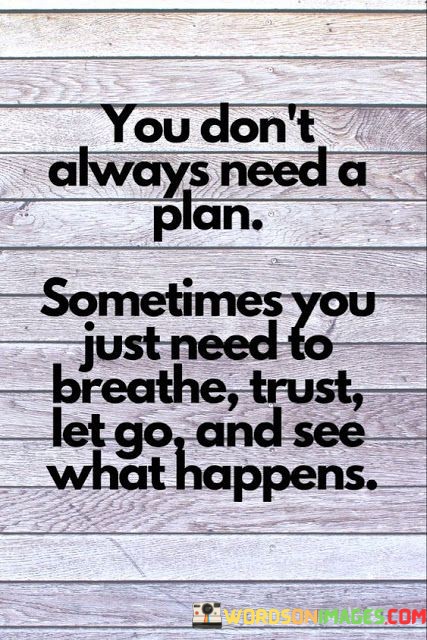 You-Dont-Always-Need-A-Plan-Sometimes-You-Just-Need-Quotes.jpeg