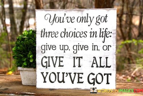 Youve-Only-Got-Three-Choices-In-Life-Give-Up-Give-In-Or-Give-Quotes.jpeg