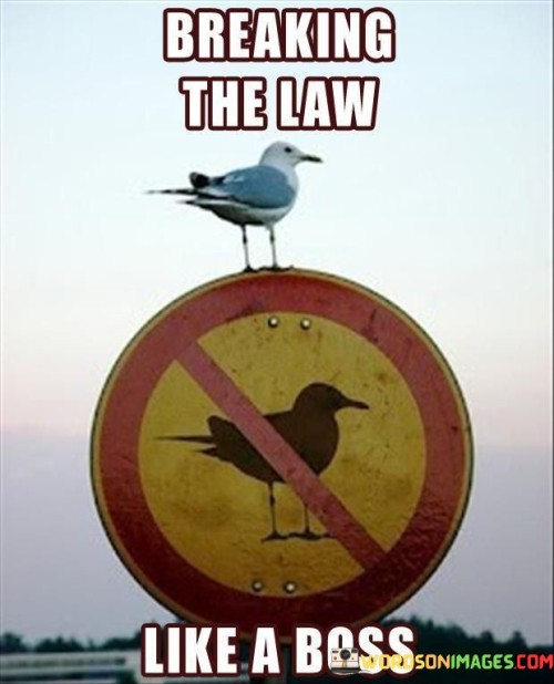 Breaking The Law Like A Boss Quotes