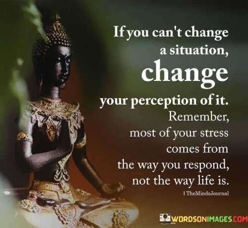 If You Can't Change A Situation Change Your Perception Quotes