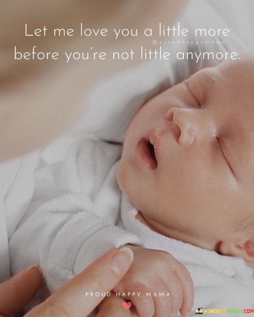 Let-Me-Love-You-A-Little-More-Before-Youre-Not-Little-Quotes.jpeg