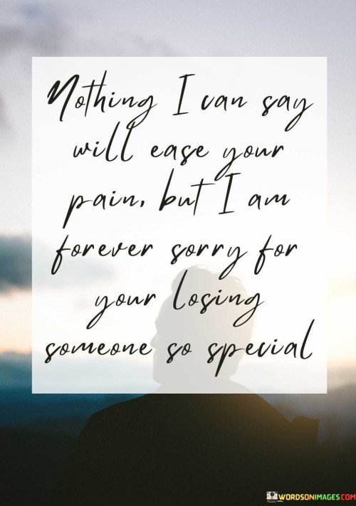 Nothing-I-Can-Say-Will-Ease-Your-Pain-But-I-Quotes.jpeg