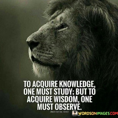 This quote encapsulates the fundamental distinction between knowledge and wisdom, highlighting the different paths required to attain them. Studying is the key to gaining knowledge, involving deliberate engagement with educational materials such as books, lectures, and research. It's a structured approach that equips individuals with facts and information.

However, wisdom is cultivated through observation and introspection. It's about recognizing patterns, drawing insights from experiences, and applying them to real-life situations. Observing the world with a discerning eye allows one to grasp deeper meanings and make connections that lead to a more profound understanding of life.

In essence, the quote underscores that while knowledge is acquired through active learning, wisdom is developed by being attuned to the world around us. It encourages a holistic approach to personal growth, emphasizing the importance of both rigorous study and mindful observation for a well-rounded and enlightened perspective.