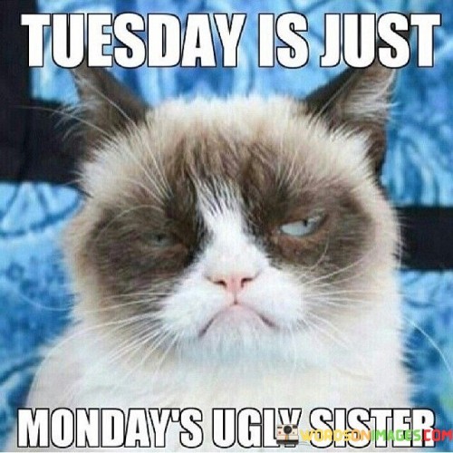 Tuesday-Is-Just-Mondays-Ugly-Sister-Quotes.jpeg
