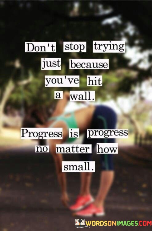 dont-stop-trying-just-because-youve-hit-a-wall.-progress-is-progress.jpeg