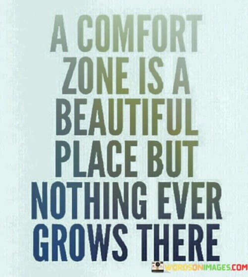 A-Comfort-Zone-Is-A-Beautiful-Place-But-Nothing-Ever-Grows-There-Quotes.jpeg