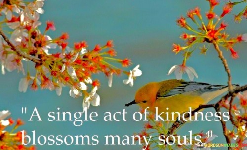 A-Single-Act-Of-Kindness-Blossoms-Many-Souls-Quotes.jpeg