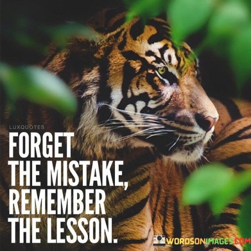 Forget-the-mistake-remember-the-lesson.jpeg