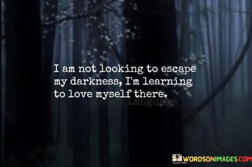 I-Am-Not-Looking-To-Escape-My-Darkness-Quotes.jpeg
