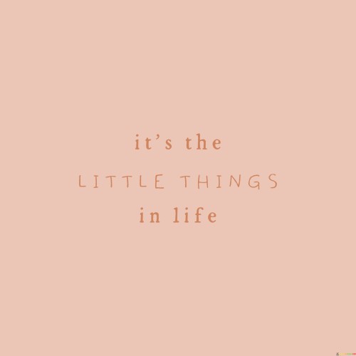 Its-The-Little-Things-In-Life-Quotes.jpeg