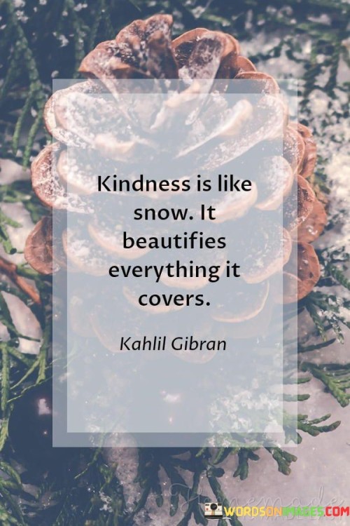 Kindness Is Like Snow It Beautifies Everything It Covers Quotes