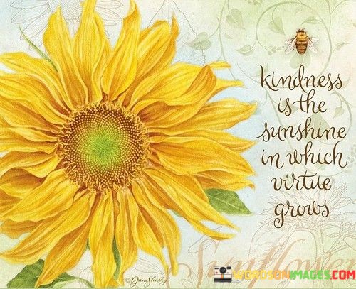 Kindness-Is-The-Sunshine-In-Which-Quotes.jpeg