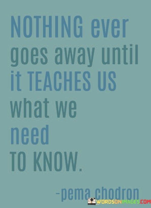 Nothing-Ever-Goes-Away-Until-It-Teaches-Us-What-We-Need-Quotes.jpeg