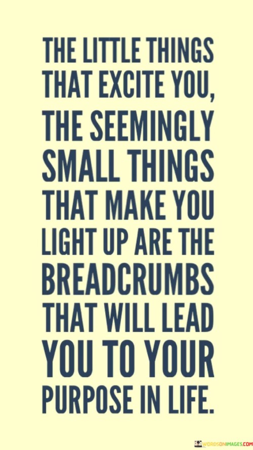 The-Little-Things-That-Excite-You-The-Seemingly-Quotes.jpeg