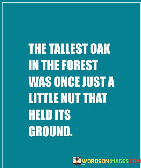 The-Tallest-Oak-In-The-Forrst-Was-Once-Just-A-Quotes.jpeg