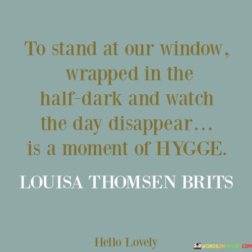 To Stand At Our Window Wrapped In The Half Dark And Watch The Day Disappear Quotes
