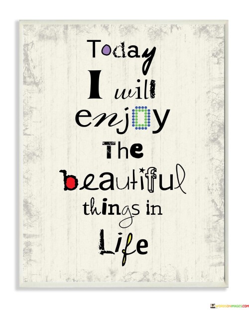 Today-I-Will-Enjoy-The-Beautiful-Things-In-Life-Quotes.jpeg