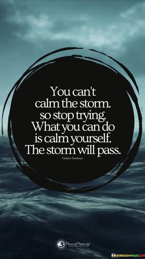 You-Cant-Calm-The-Storm-So-Stop-Trying-What-You-Quotes.jpeg