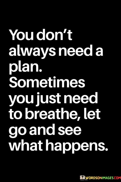 You-Dont-Always-Need-A-Plan-Sometimes-You-Just-Need-To-Breathe-Let-Quotes.jpeg
