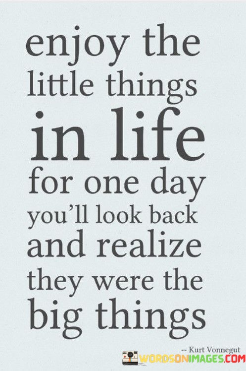 enjoy-the-little-things-in-life-for-one-day-youll-look.jpeg