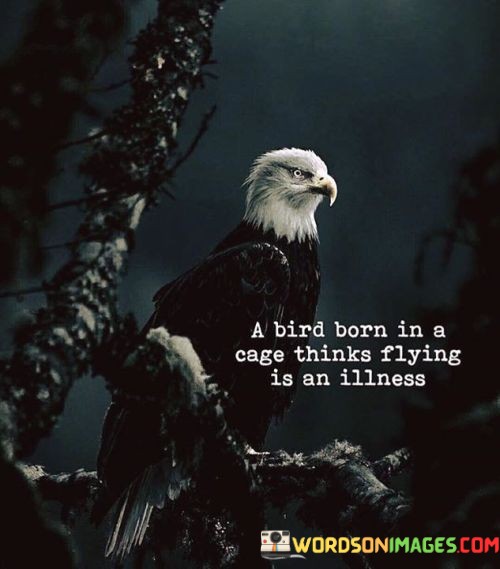 A-Bird-Born-In-A-Cage-Thinks-Flying-Is-An-Quotes.jpeg