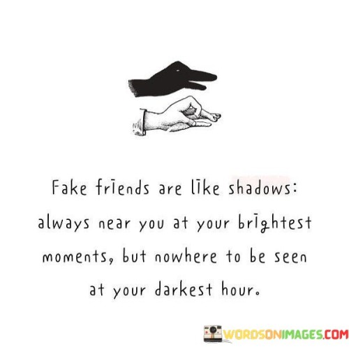 Fake Friends Are Like Shadows Always Near You At Your Brightest Moments Quotes