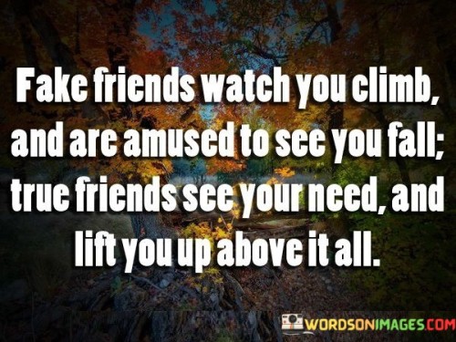Fake-Friends-Watch-You-Climb-And-Are-Amused-To-See-You-Fall-Quotes.jpeg
