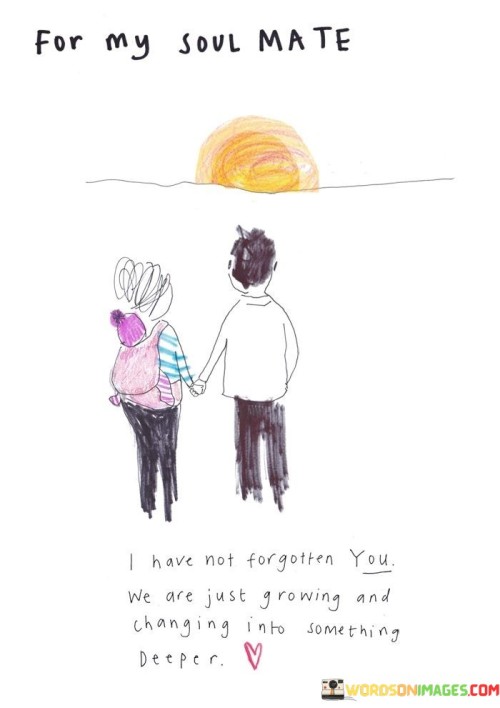 For-My-Soul-Mate-I-Have-Not-Forgotten-You-Quotes.jpeg