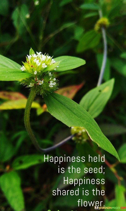 Happiness-Held-Is-The-Seed-Happiness-Shared-Is-The-Flower-Quotes.jpeg