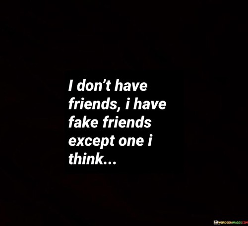 I Don't Have Friends I Have Fake Friends Except One I Think Quotes