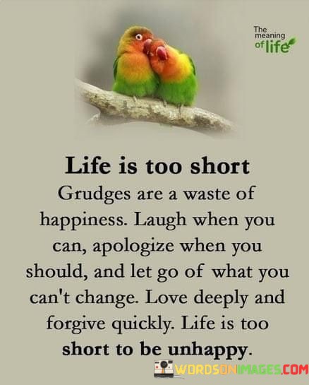 Life-Is-Too-Short-Grudges-Are-A-Waste-Of-Happiness-Quotes.jpeg